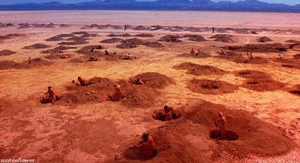 Estate Planning and ‘Holes’ in the Desert